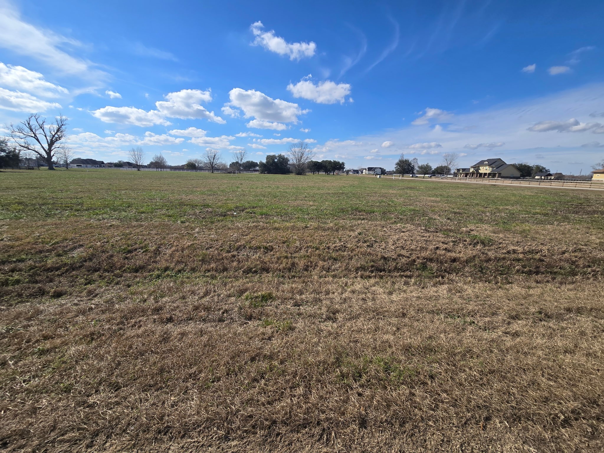 2803 Pearce Meadow Rosharon, TX 77583 - Photo 2 of 13 3 acres with so much potential.