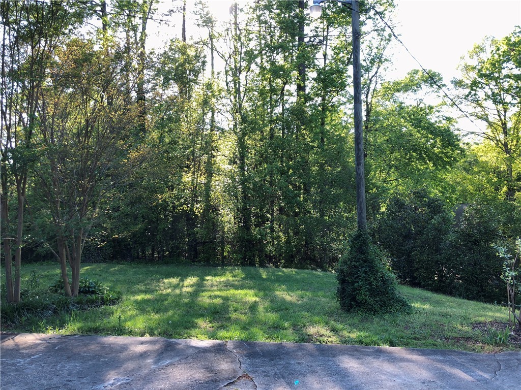 127 Canterbury Road Pendleton, SC 29670 - Photo 44 of 46 Back Yard