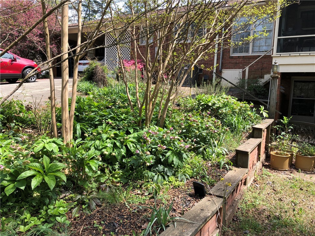 127 Canterbury Road Pendleton, SC 29670 - Photo 45 of 46 Raised Garden of Lenten Roses