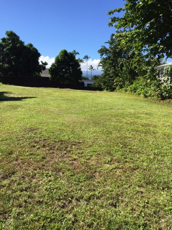 33 Lihikai Road Hilo, HI 96720 - Photo 1 of 6 a view of a lake from a yard
