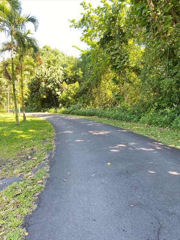 33 Lihikai Road Hilo, HI 96720 - Photo 3 of 6 a view of a big yard with trees