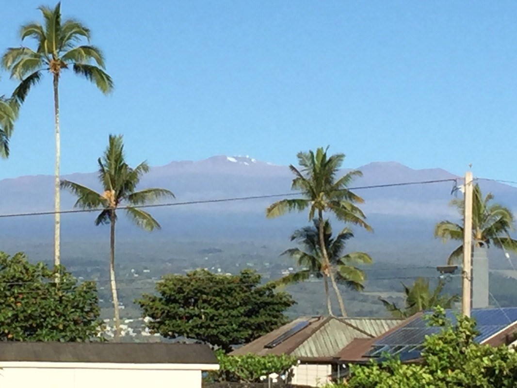 33 Lihikai Road Hilo, HI 96720 - Photo 5 of 6 a flower in a garden with a view of house