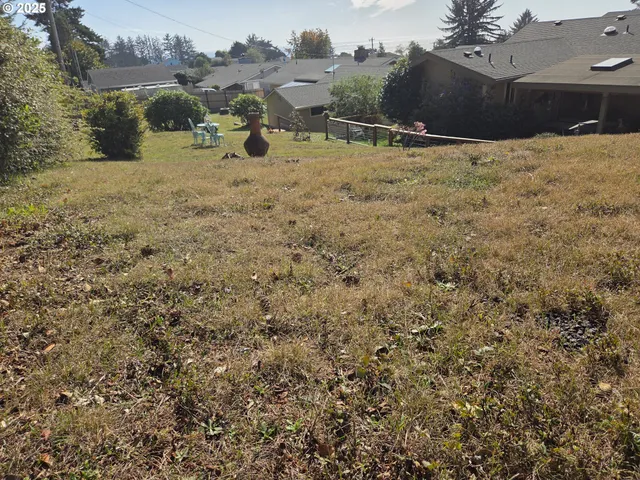a view of outdoor space with green space