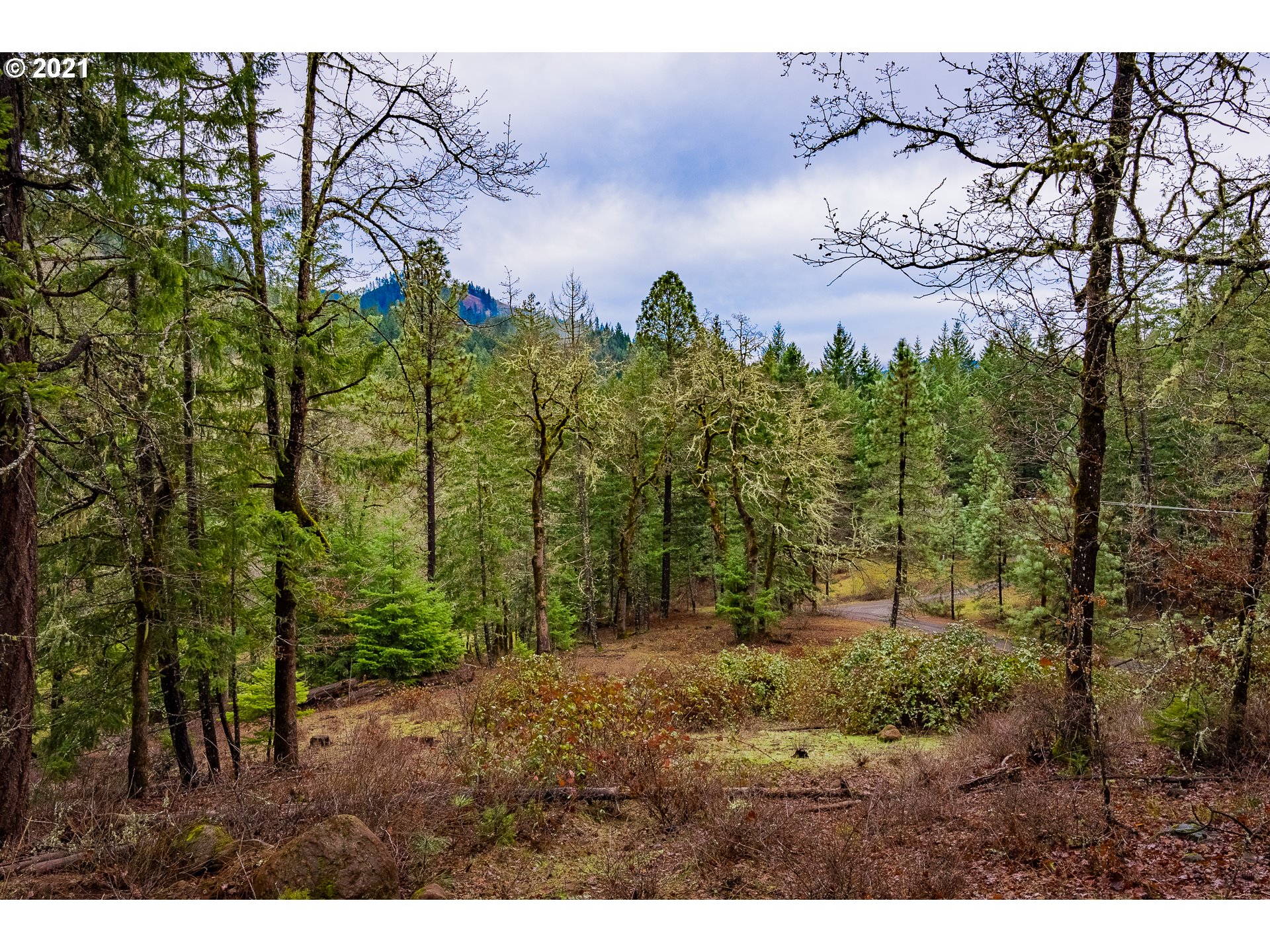 Lyons Road, Unit 3 White Salmon, WA 98672 - Photo 1 of 26 Gallery Image 1