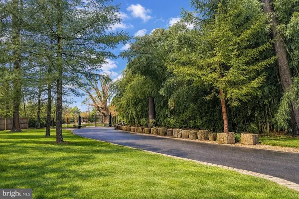 a view of road with tree