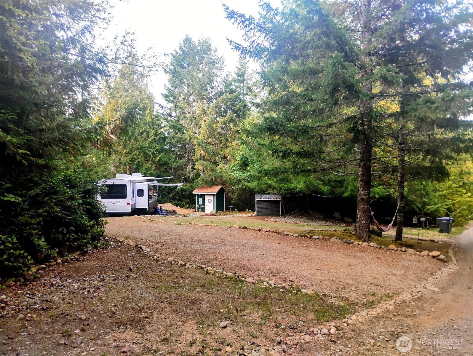 a tall tree in a field with trees in the background