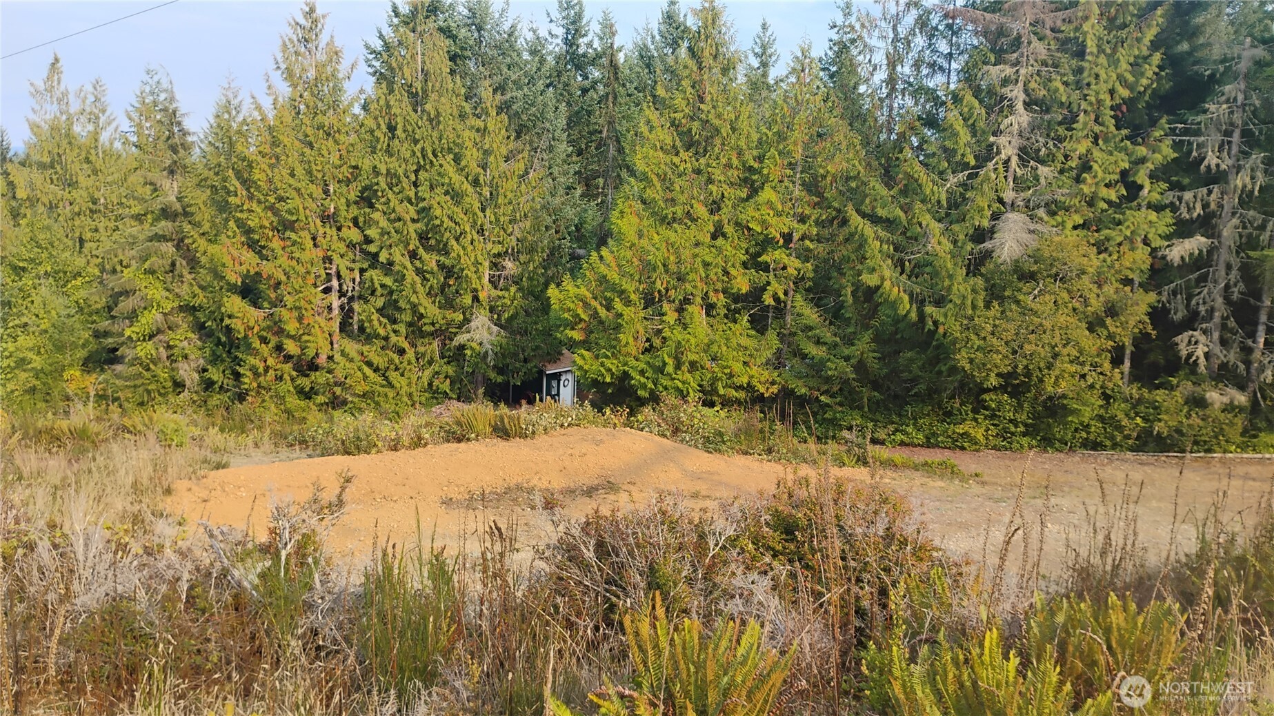680 North Triton Heights Road Lilliwaup, WA 98555 - Photo 11 of 39 a view of a yard of a house