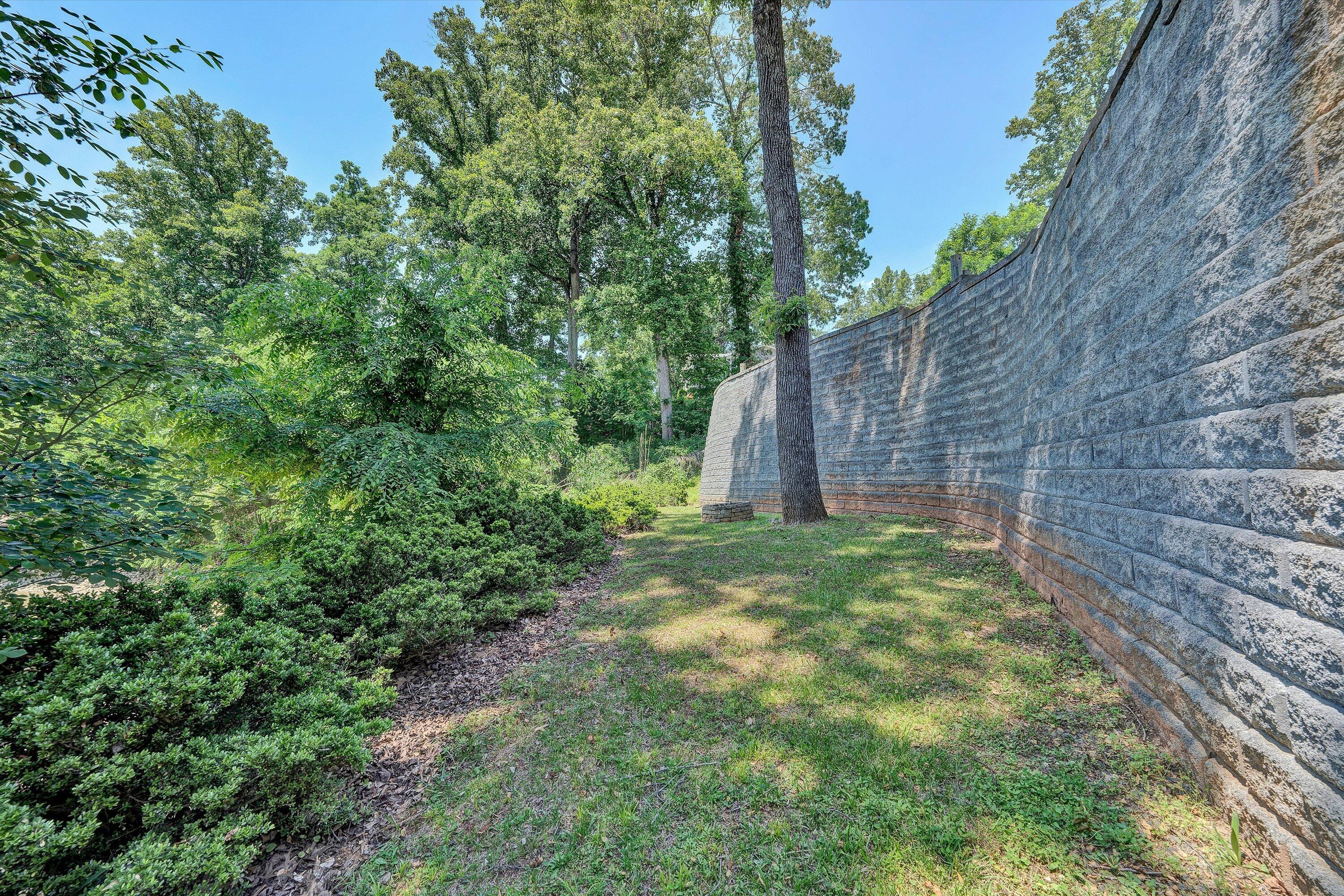 207 Winding Way Union Hall, VA 24176 - Photo 51 of 60 a backyard of a house with lots of green space