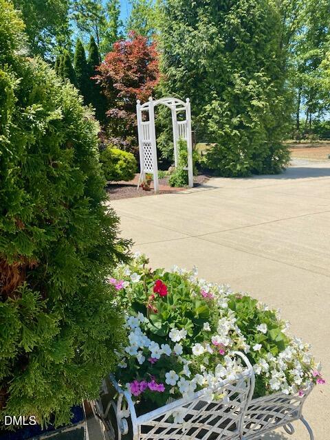 534 Dink Ashley Road Timberlake, NC 27583 - Photo 75 of 86 a view of a garden with large trees