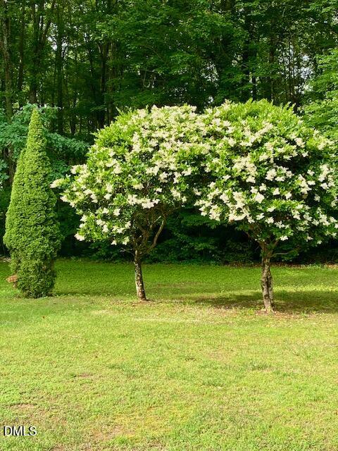 534 Dink Ashley Road Timberlake, NC 27583 - Photo 76 of 86 IMG_3772