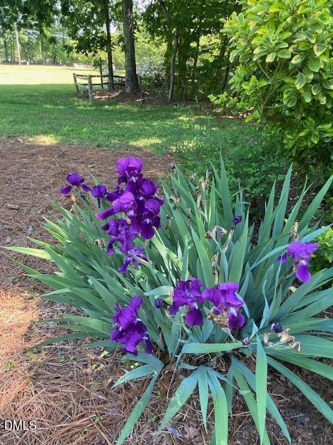 534 Dink Ashley Road Timberlake, NC 27583 - Photo 77 of 86 IMG_3661 (1)