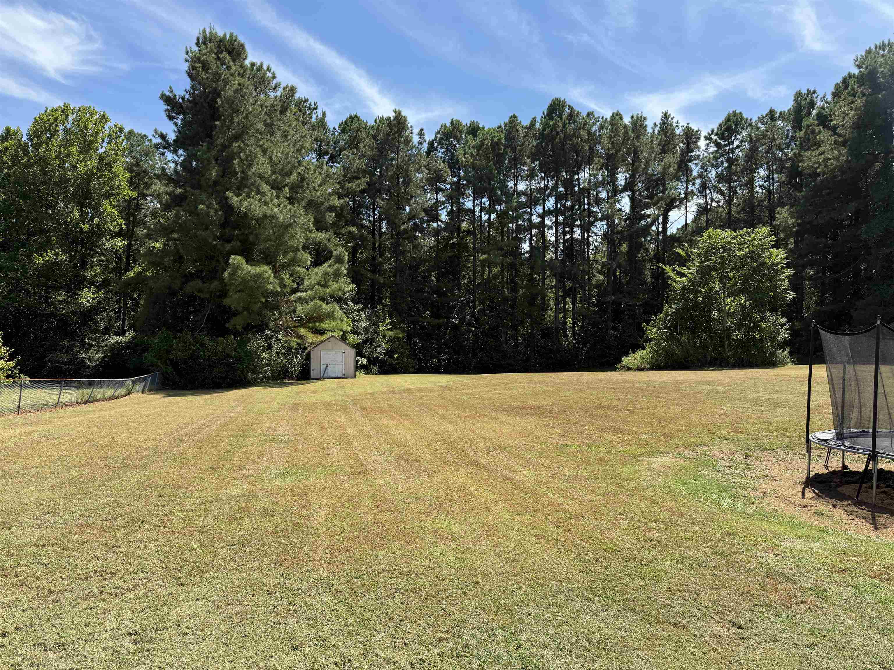 663 Tracy Road Millington, TN 38053 - Photo 16 of 21 View of grassy yard with a trampoline, a storage unit, and a view of trees