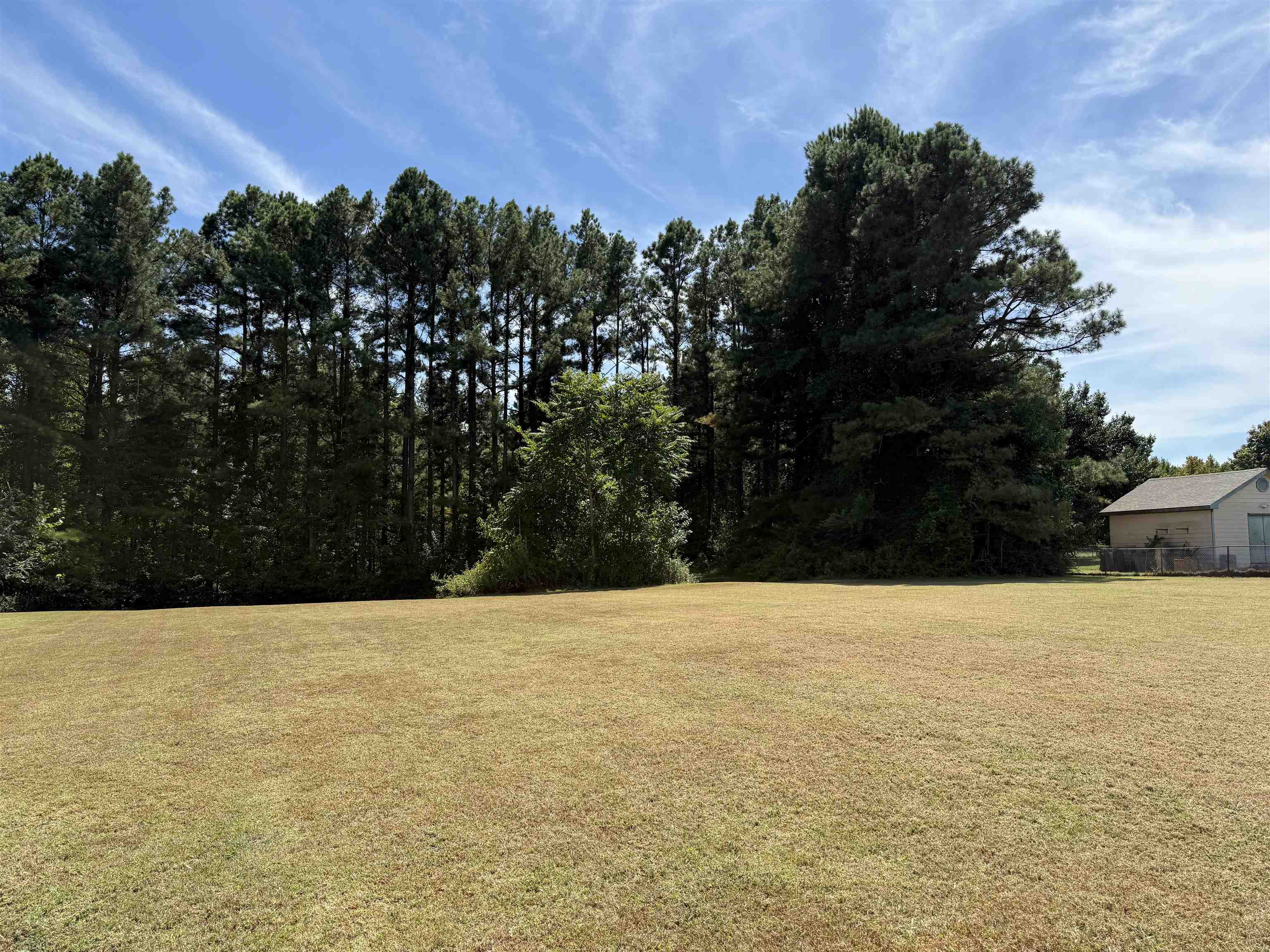 663 Tracy Road Millington, TN 38053 - Photo 21 of 21 View of green lawn