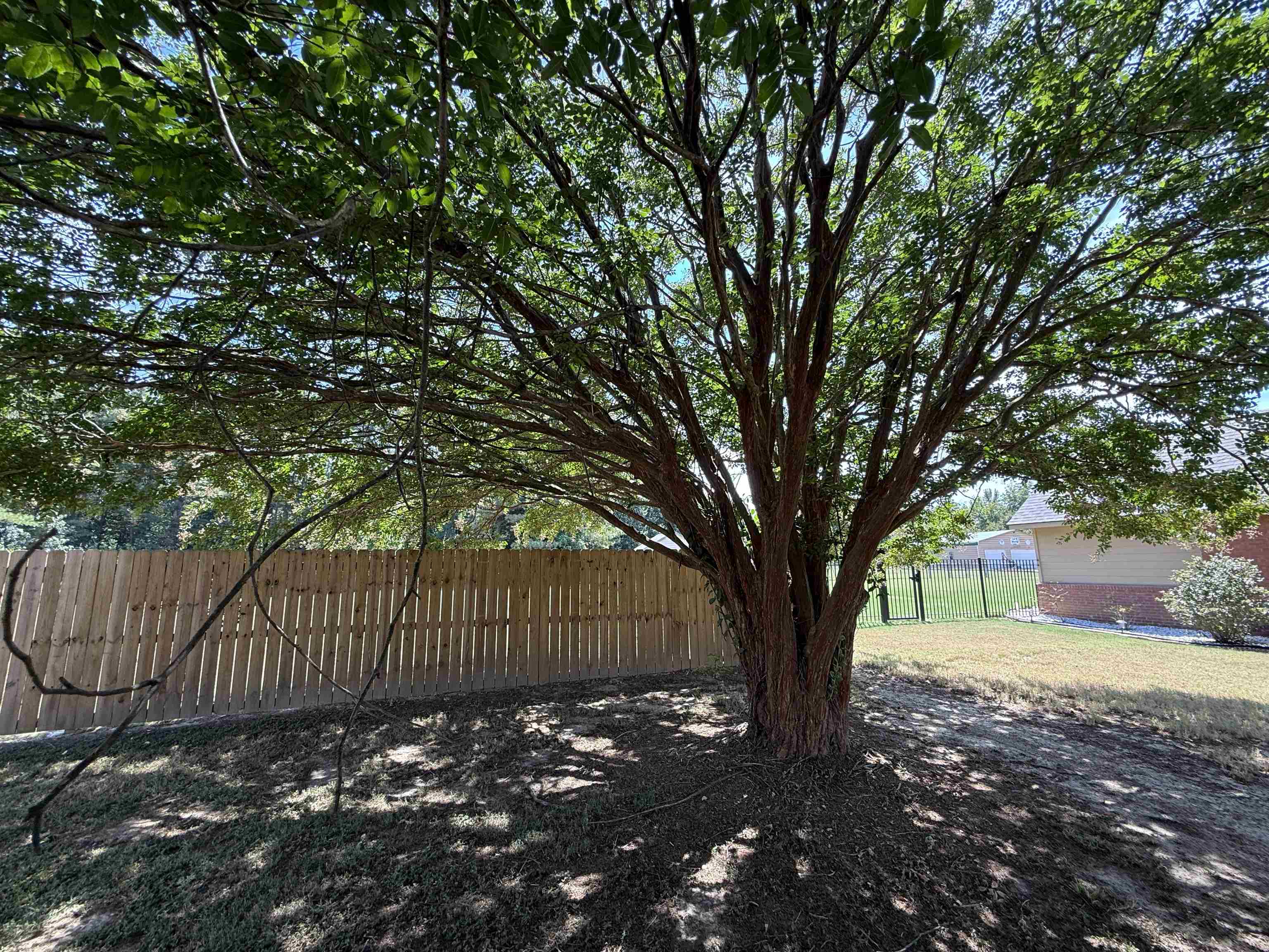 663 Tracy Road Millington, TN 38053 - Photo 7 of 21 View of yard
