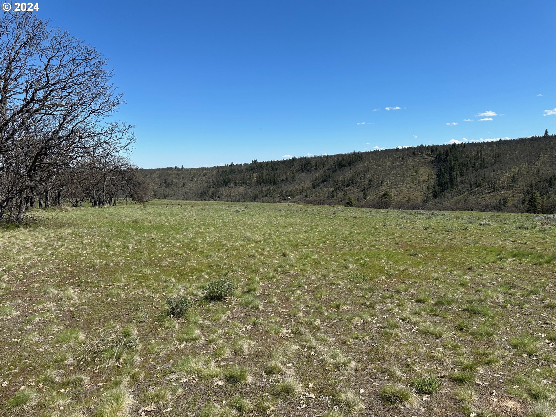 5 5 Mile Road The Dalles, OR 97058 - Photo 20 of 32 Gallery Image 20