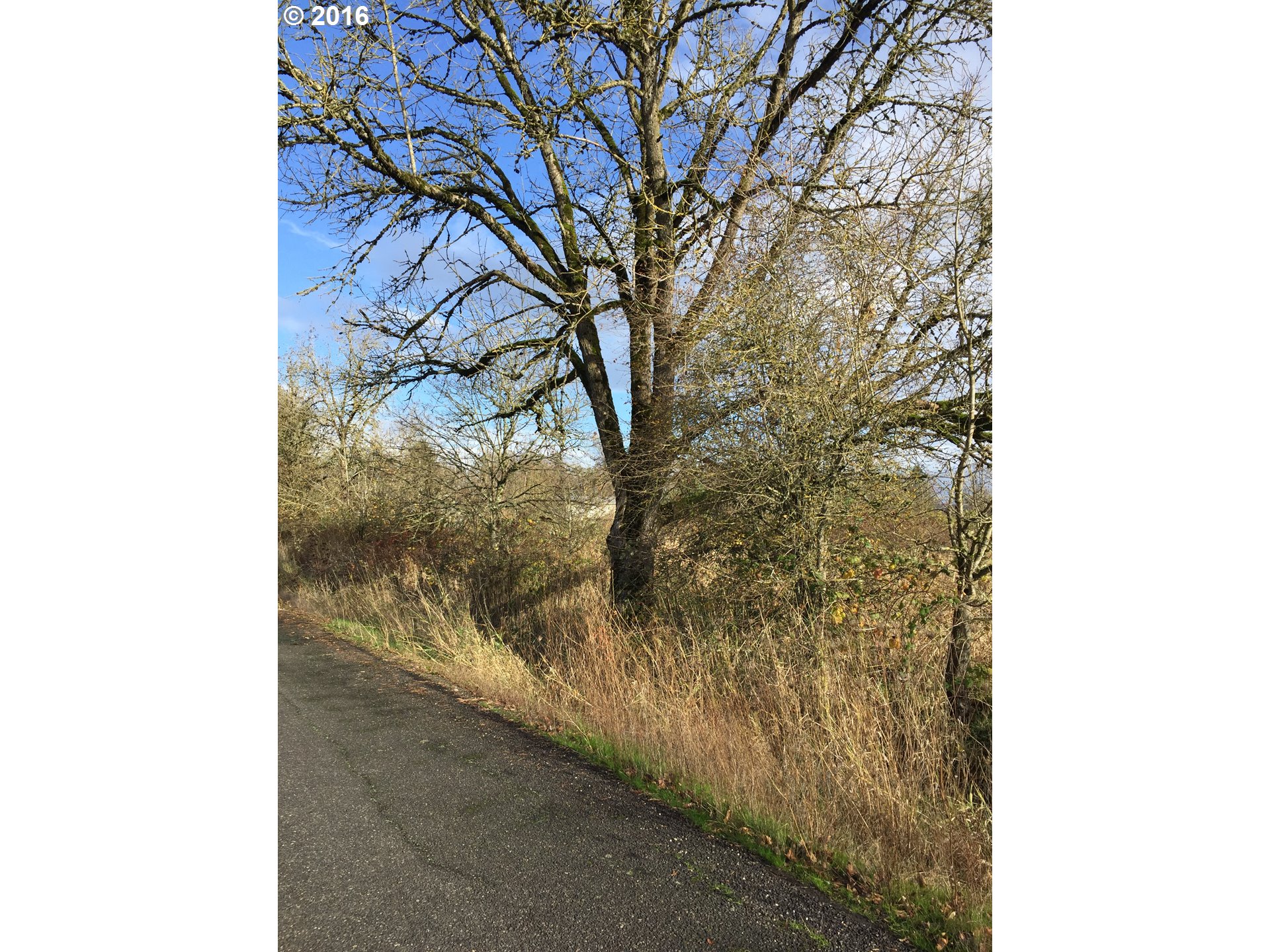 27904 South Klinger Road Canby, OR 97013 - Photo 3 of 5 a picture of a tree in the background