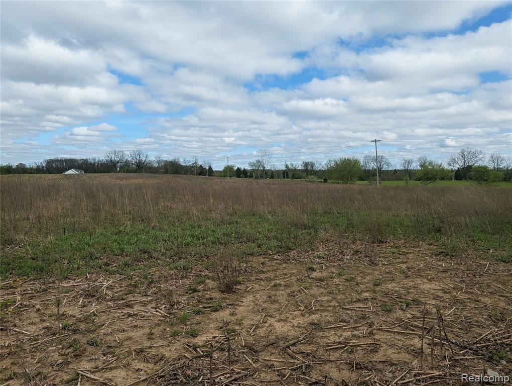 Parcel E Hogan Road Linden, MI 48451 - Photo 11 of 22