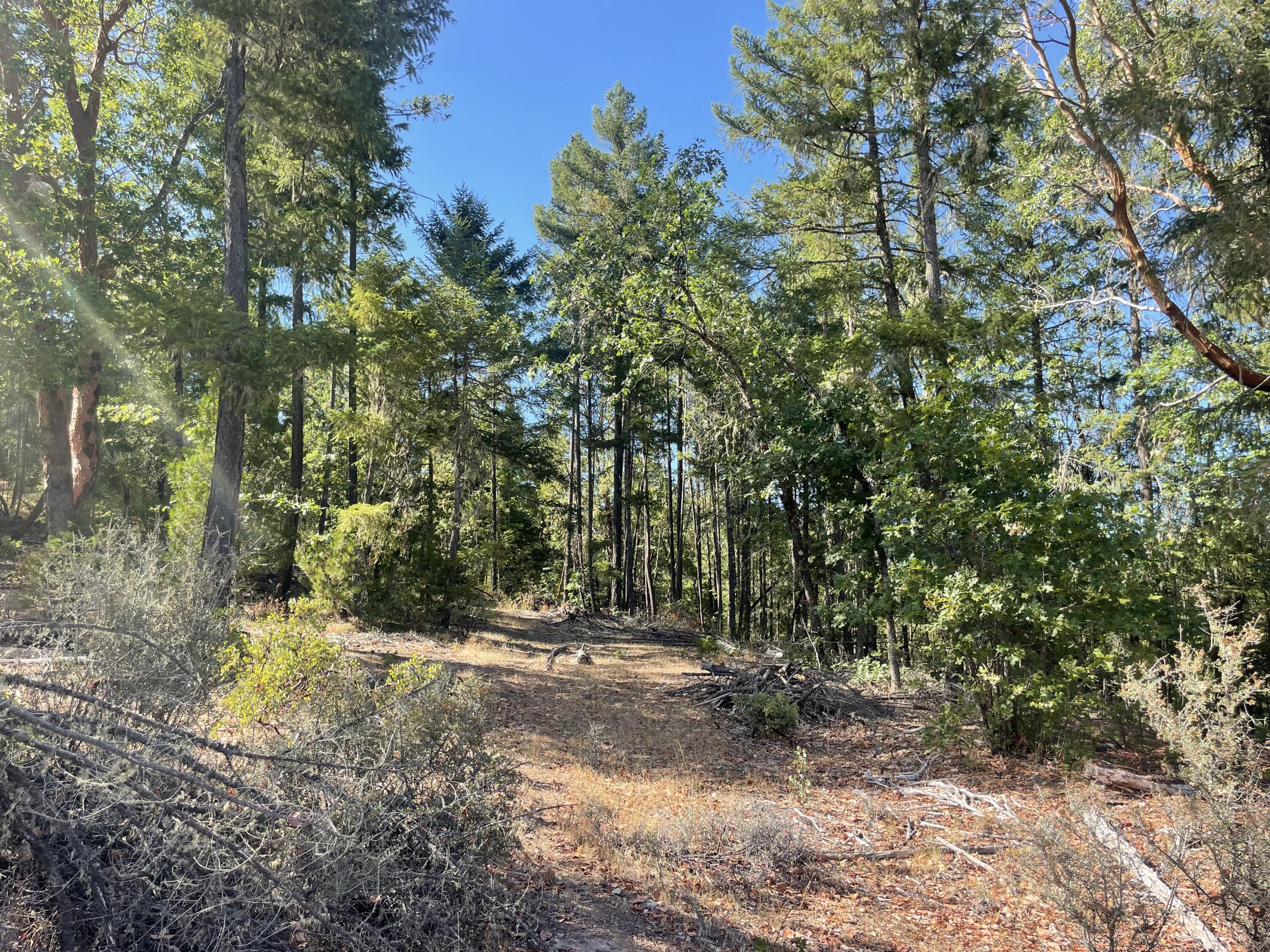 Loper Ln Trail Trail, OR 97541 - Photo 2 of 5 IMG_8337