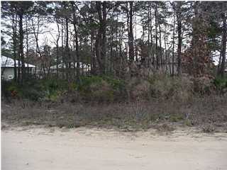 1 Walnut Street Santa Rosa Beach, FL 32459 - Photo 1 of 3 a view of a yard with a tree