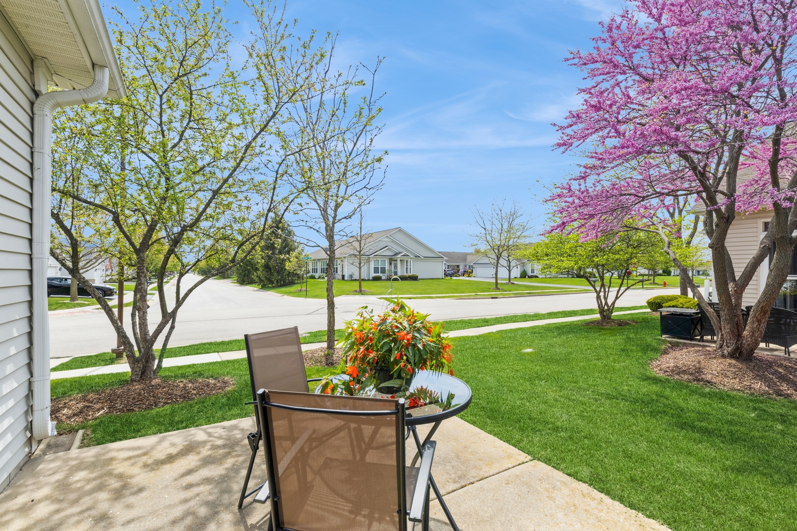 13472 Delaney Road Huntley, IL 60142 - Photo 4 of 16 a view of a park with large trees