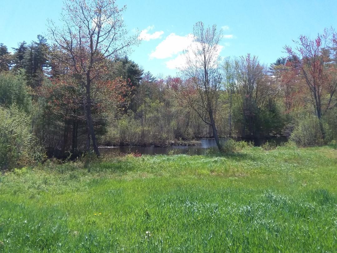 23 Senator Black Road West Baldwin, ME 04091 - Photo 33 of 51 pond