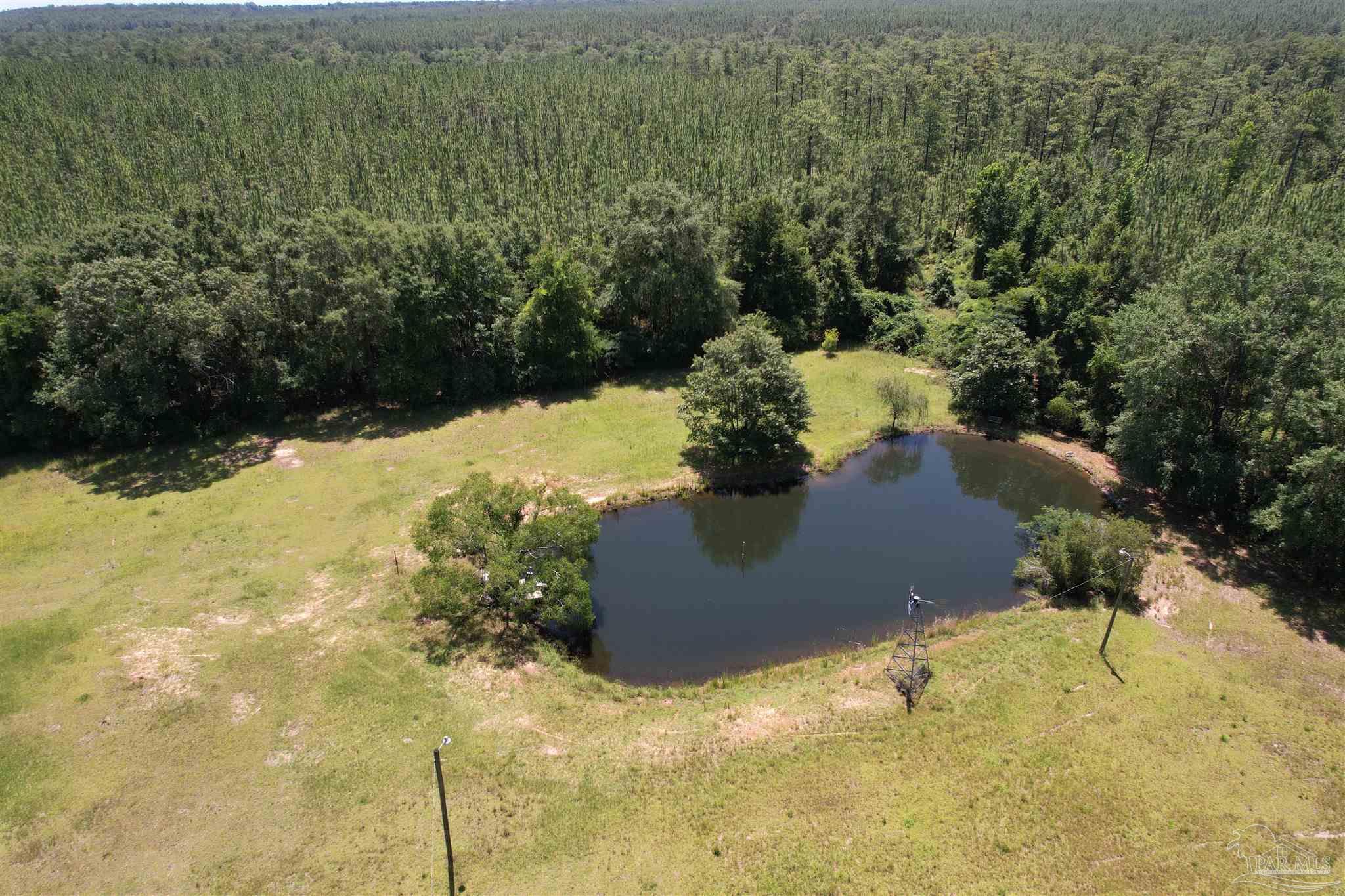 9353 Sellersville Road Jay, FL 32565 - Photo 13 of 26 a view of a yard