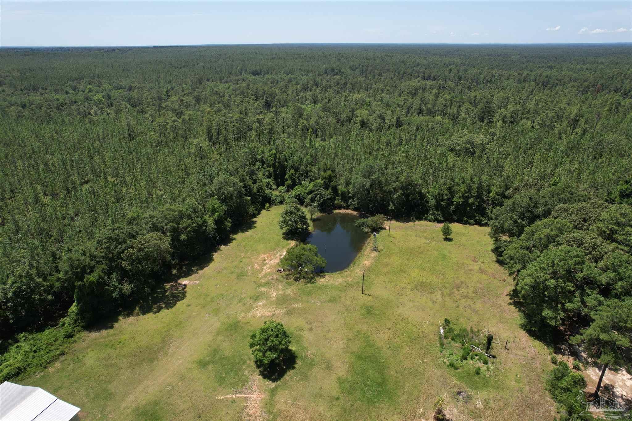 9353 Sellersville Road Jay, FL 32565 - Photo 24 of 26 a view of a lake with a yard