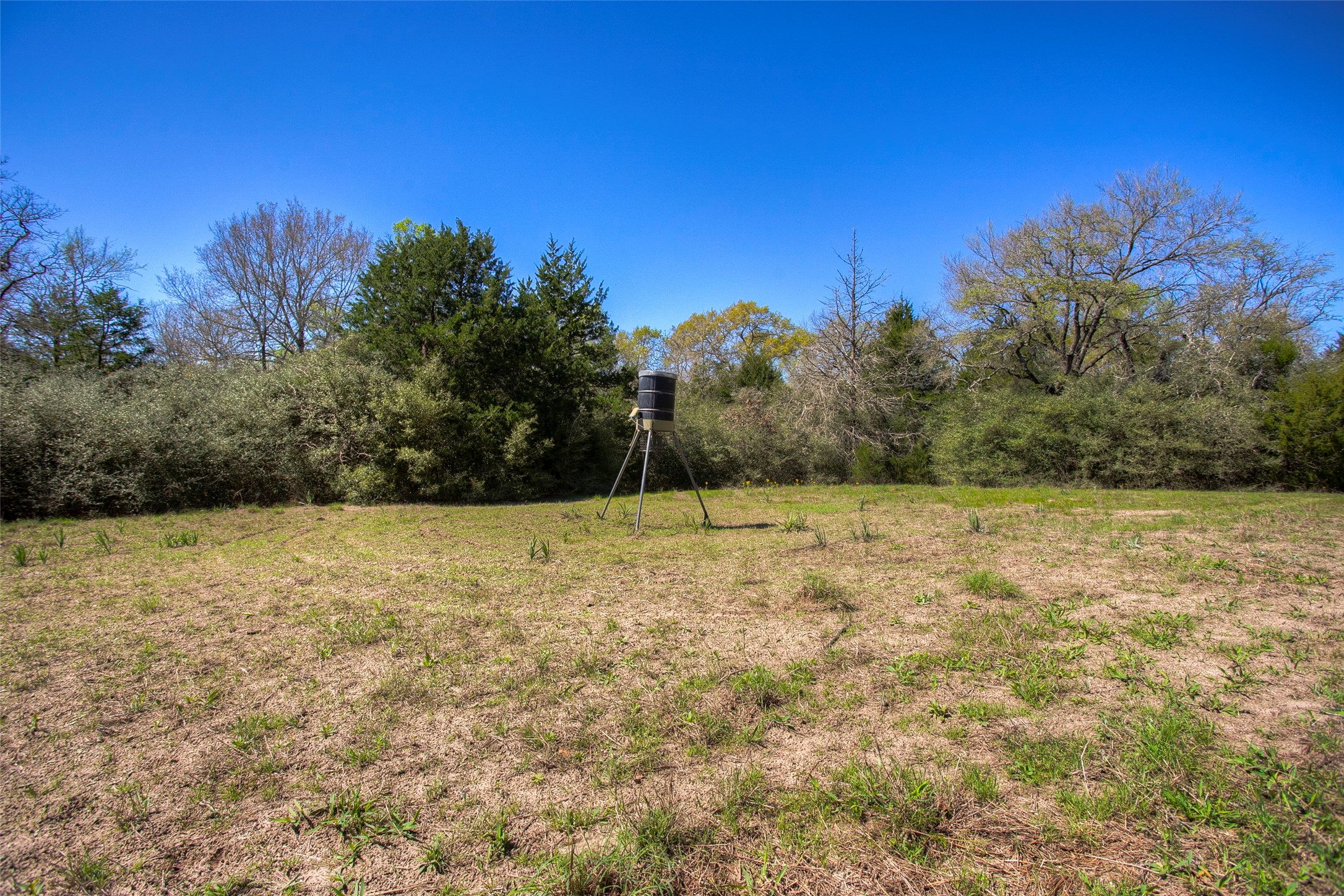 482 County Road 482 Normangee, TX 77871 - Photo 27 of 49