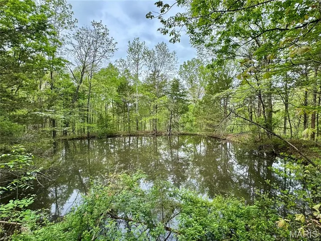 $399,900 | 0 Hank Lane, Dixon, MO 65459