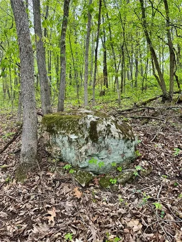 $399,900 | 0 Hank Lane, Dixon, MO 65459