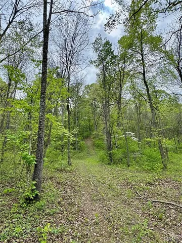 $399,900 | 0 Hank Lane, Dixon, MO 65459