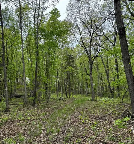 $399,900 | 0 Hank Lane, Dixon, MO 65459