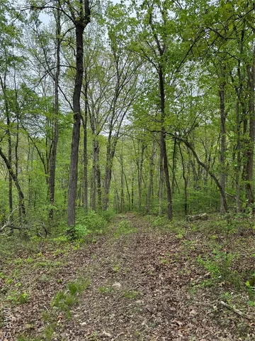 $399,900 | 0 Hank Lane, Dixon, MO 65459