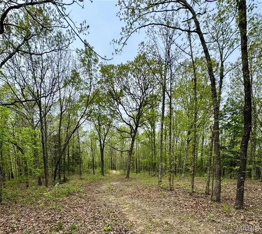 $399,900 | 0 Hank Lane, Dixon, MO 65459