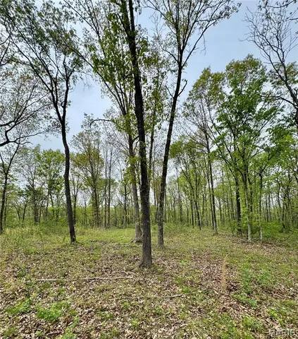 $399,900 | 0 Hank Lane, Dixon, MO 65459