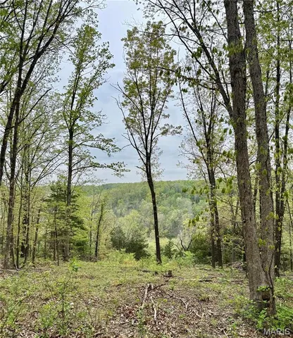 $399,900 | 0 Hank Lane, Dixon, MO 65459