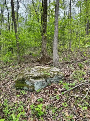 $399,900 | 0 Hank Lane, Dixon, MO 65459