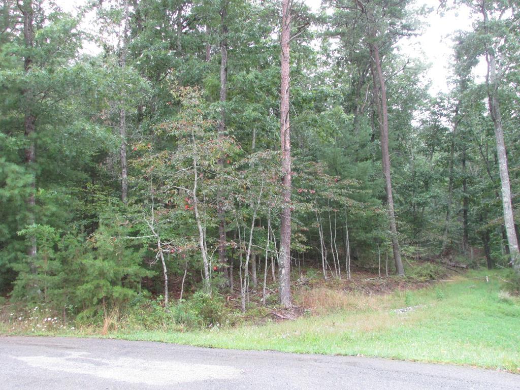2051 Cold Mountain Road, Unit 8 Radford, VA 24141 - Photo 3 of 15 Gallery Image 3