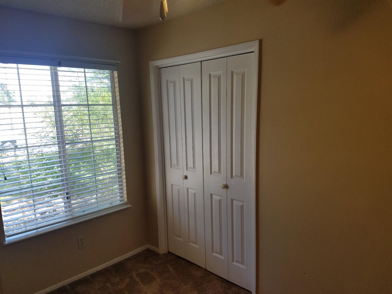 565 East Carob Avenue Reedley, CA 93654 - Photo 8 of 20 Gallery Image 8