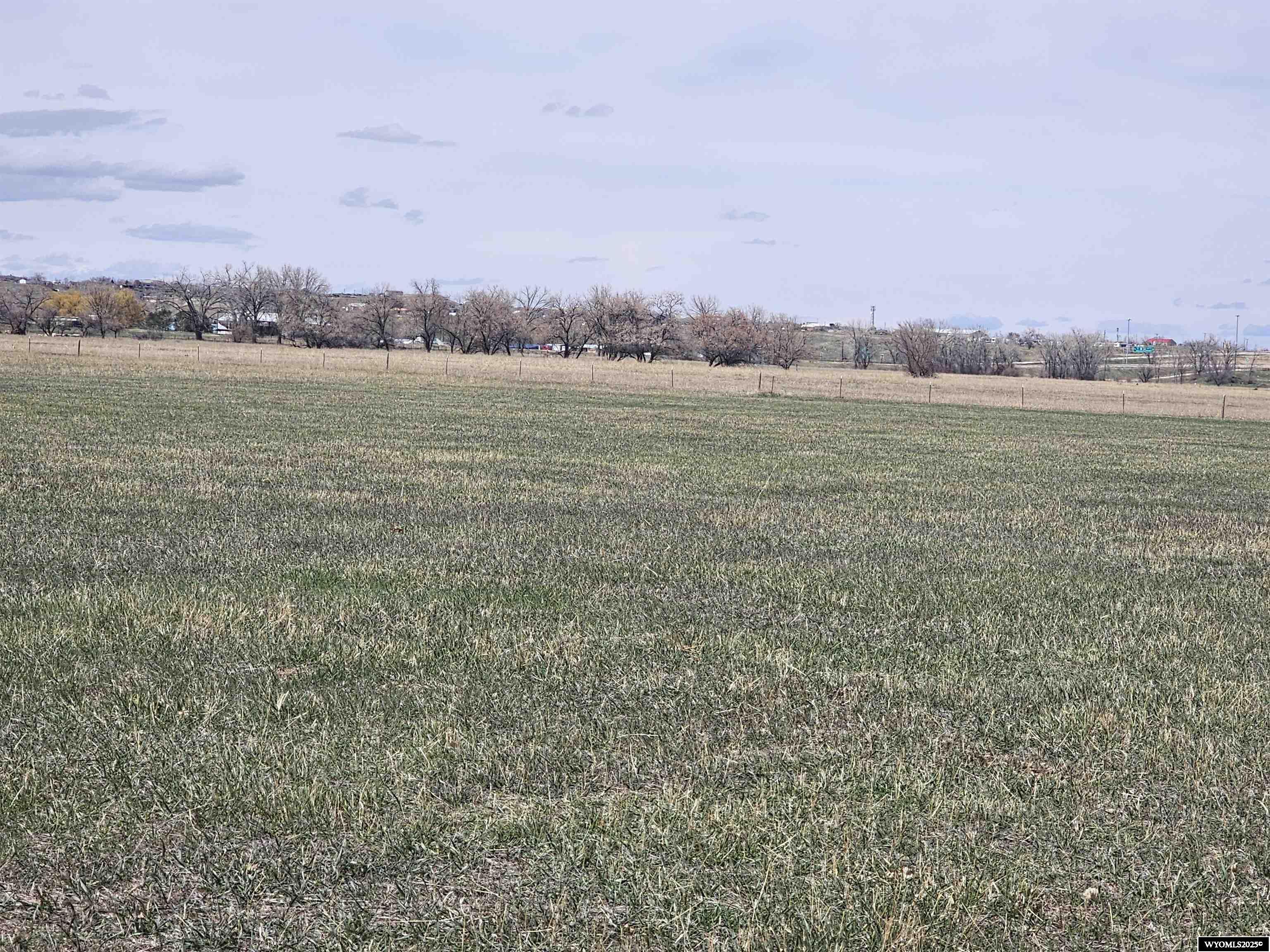 16 E Highway Buffalo, WY 82834 - Photo 5 of 5