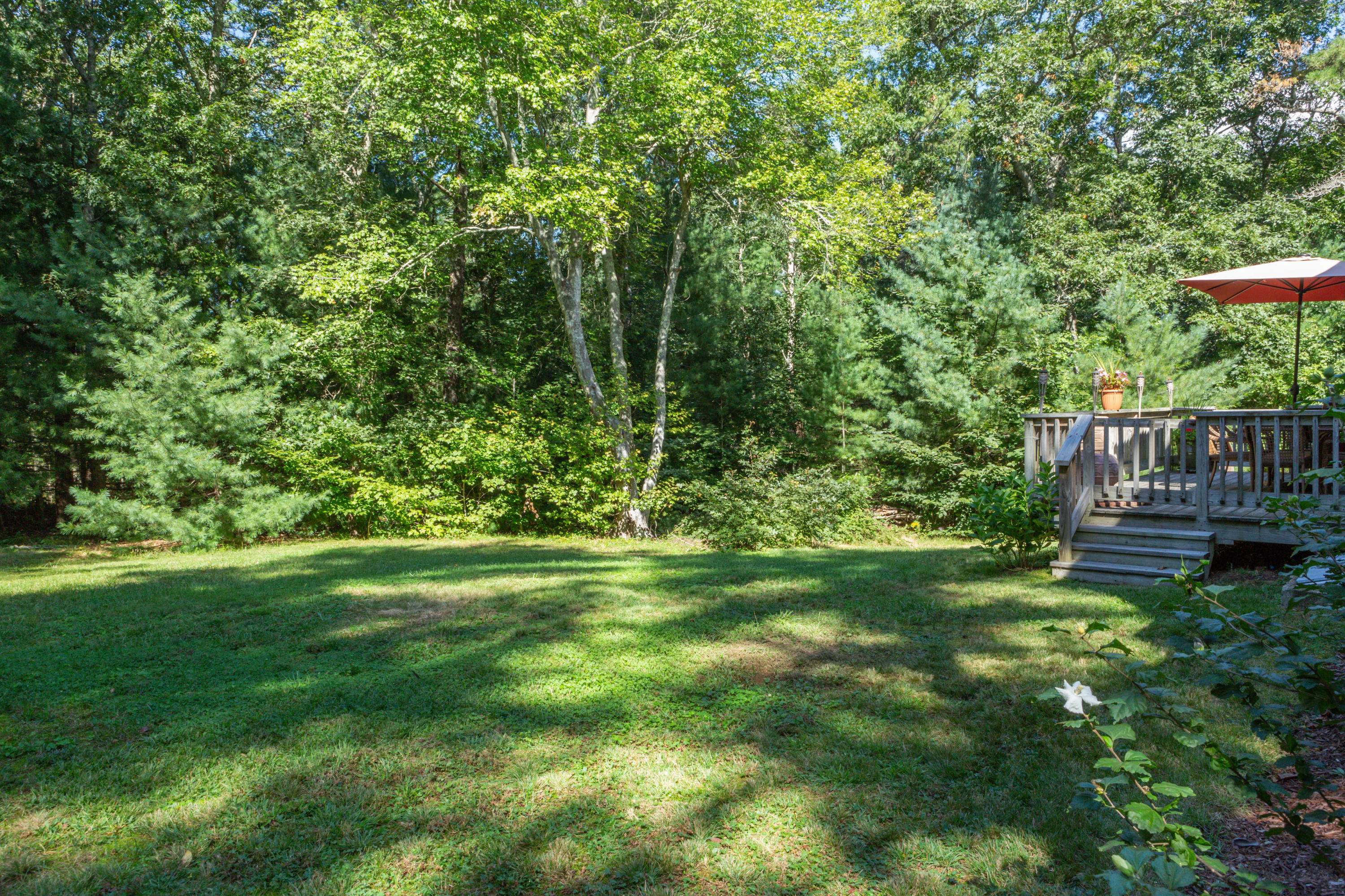 81 Harlow Road Sandwich, MA 02563 - Photo 24 of 31 81Harlow-4714