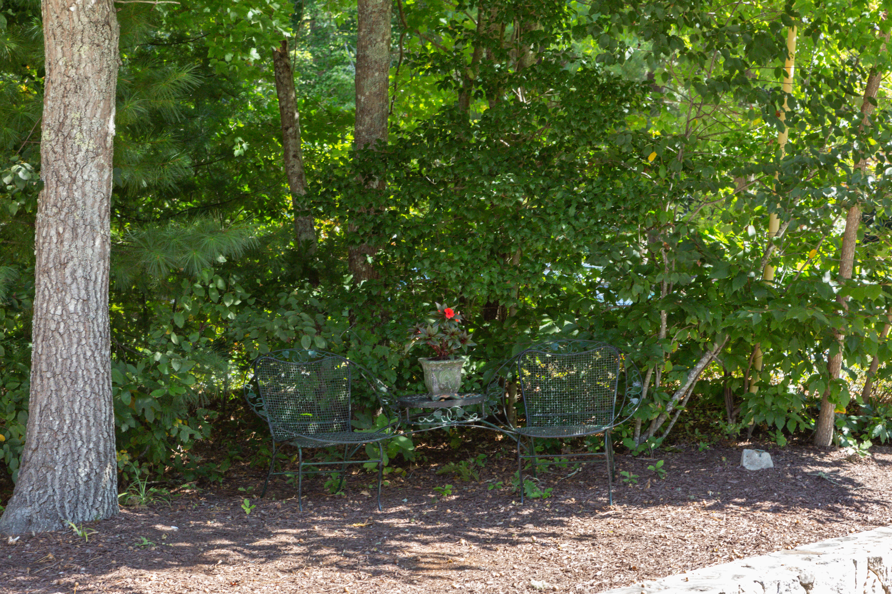81 Harlow Road Sandwich, MA 02563 - Photo 26 of 31 81Harlow-4712