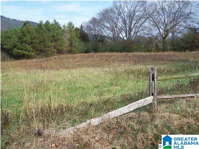 329 County Road 42, Unit 70 AC Oneonta, AL 35121 - Photo 2 of 5