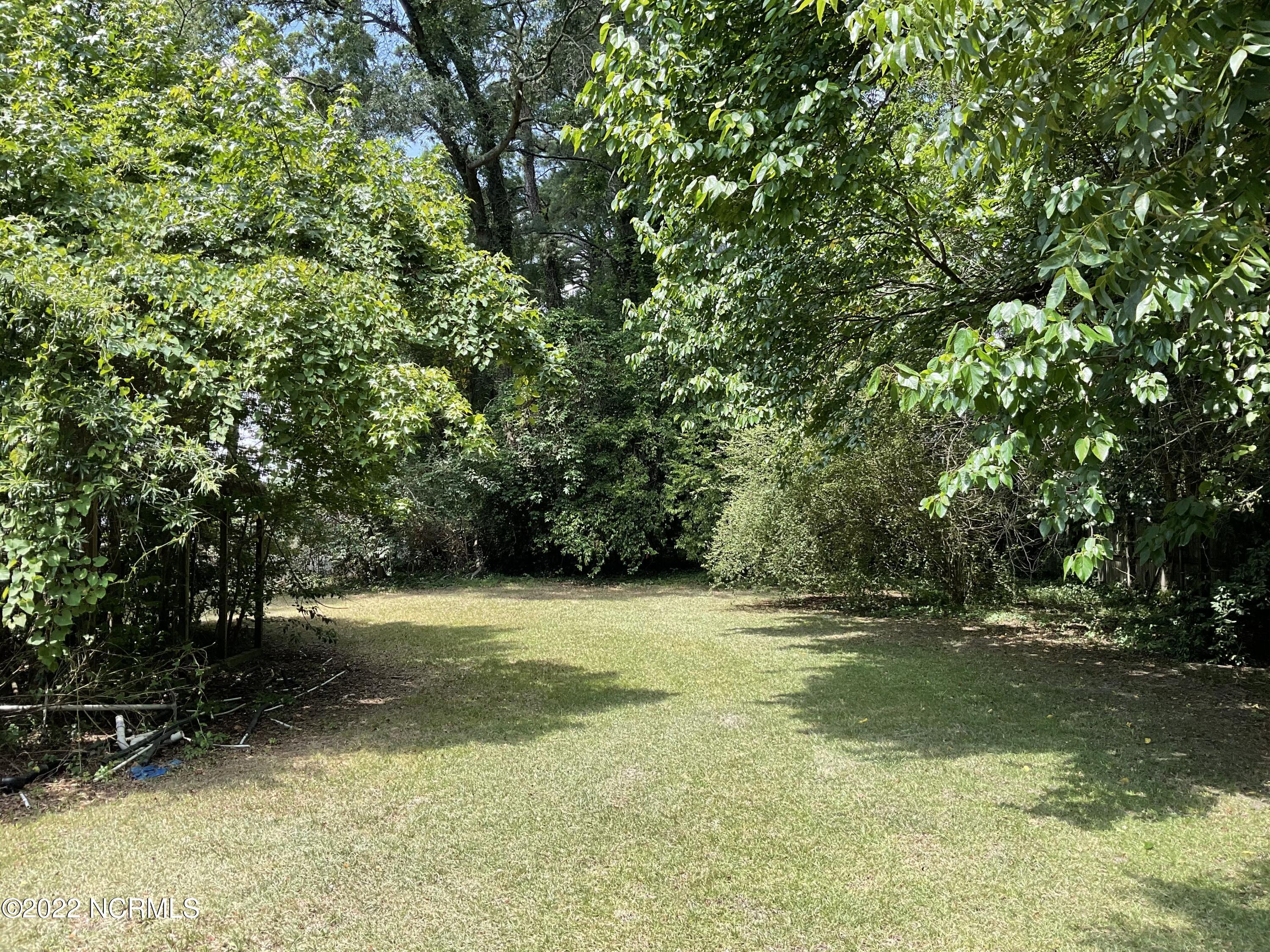 526 Falls Road Rocky Mount, NC 27804 - Photo 4 of 6 Rear__Natural Area