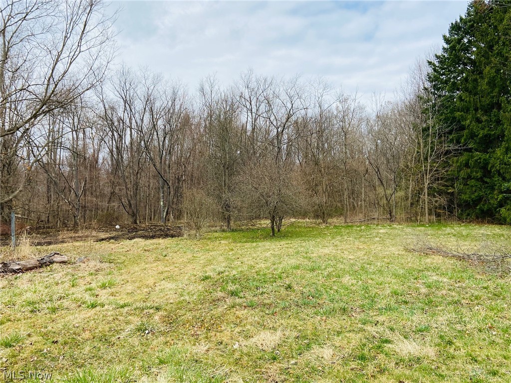 8477 Whipporwill Road Ravenna, OH 44266 - Photo 7 of 29