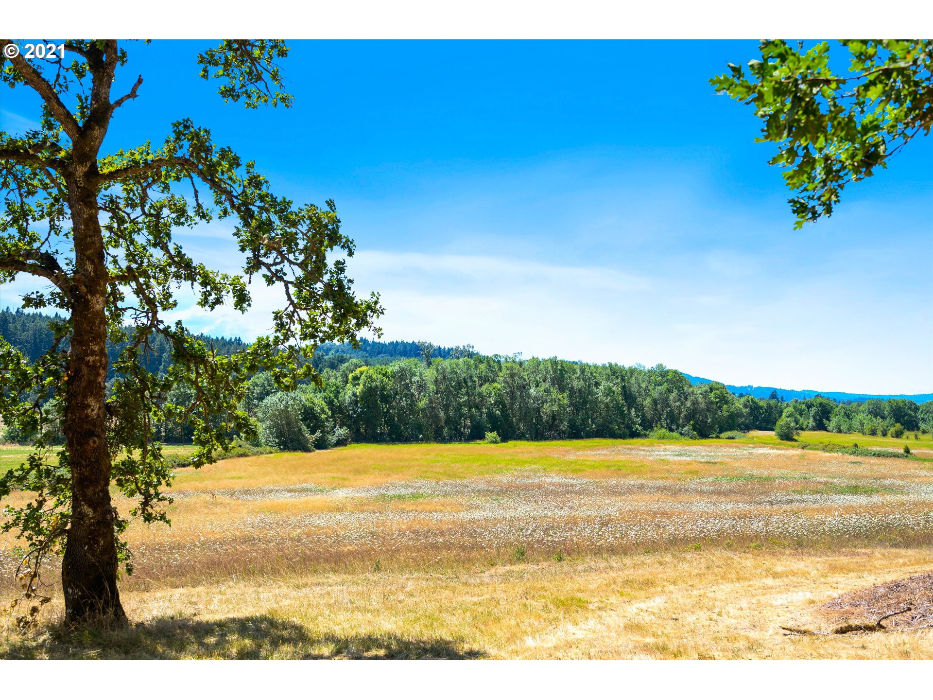 2795 Perrydale Road Dallas, OR 97338 - Photo 21 of 29