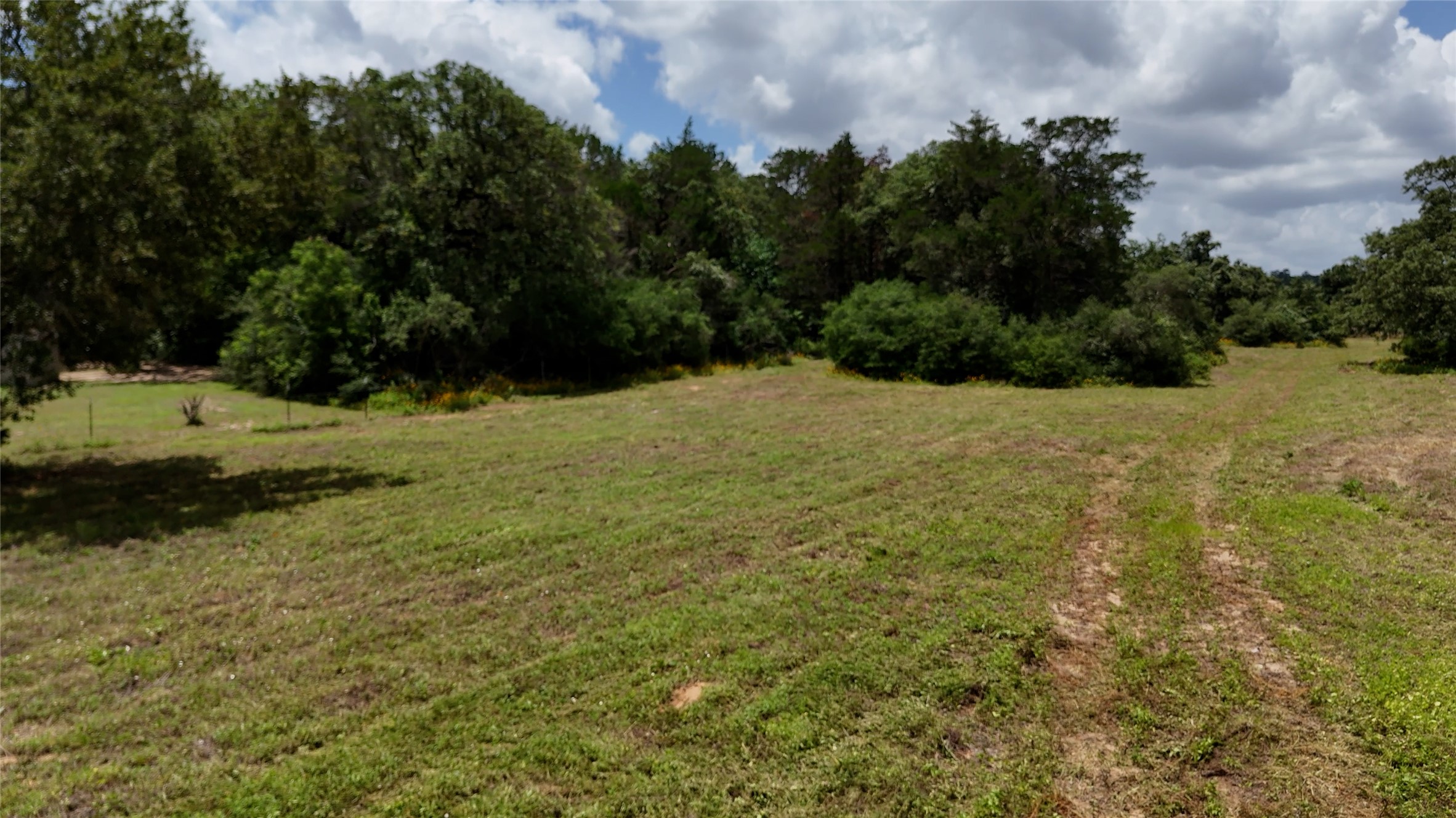 277 Meuth Cemetery Road Red Rock, TX 78662 - Photo 5 of 10 A spacious, verdant lot awaits your vision, bordered by natural woodlands and ready for development.
