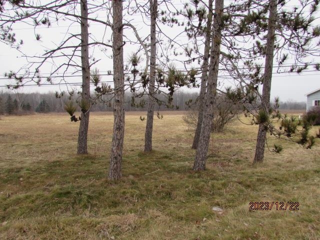 Tbd East Pickard Road, Unit LOT #1 Mount Pleasant, MI 48858 - Photo 5 of 7