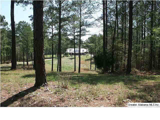 115 Overlook Terrace Helena, AL 35080 - Photo 29 of 32
