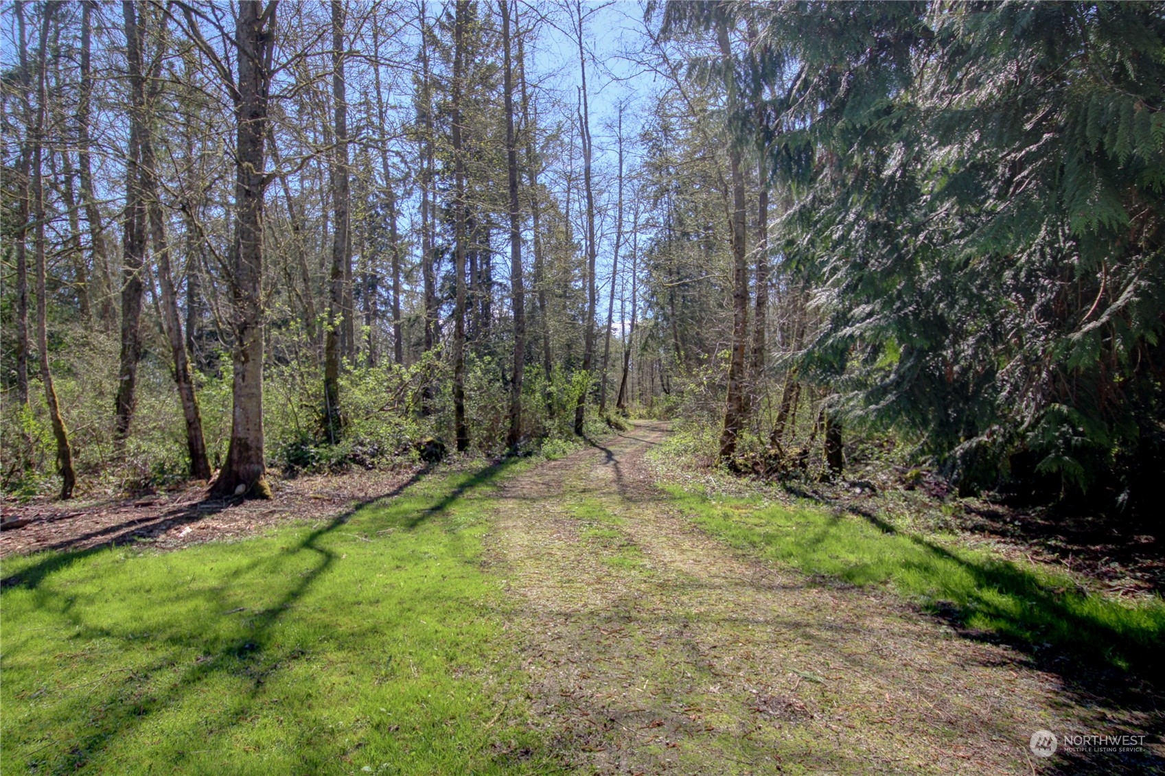 13709 Rector Road Bow, WA 98232 - Photo 36 of 36 a view of outdoor space with trees all around